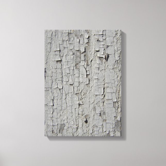 Peeling Barn Paint Canvas Print (Front)