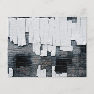 Peeling Paint on Wood Postcard