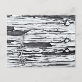 Peeling Paint Postcard