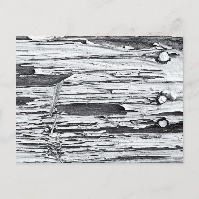 Peeling Paint Postcard (Front)