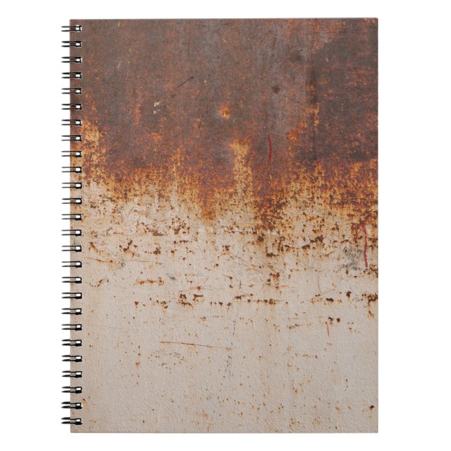 Peeling paint, rusty wall texture. notebook (Front)