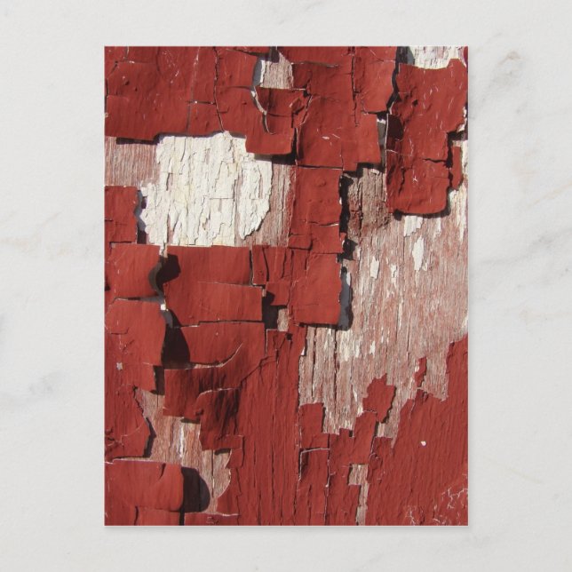 Peeling Red Barn Paint Postcard (Front)