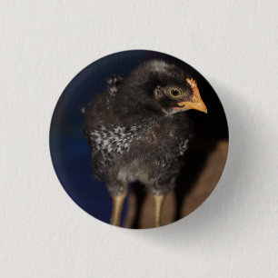 Peep 3 Cm Round Badge