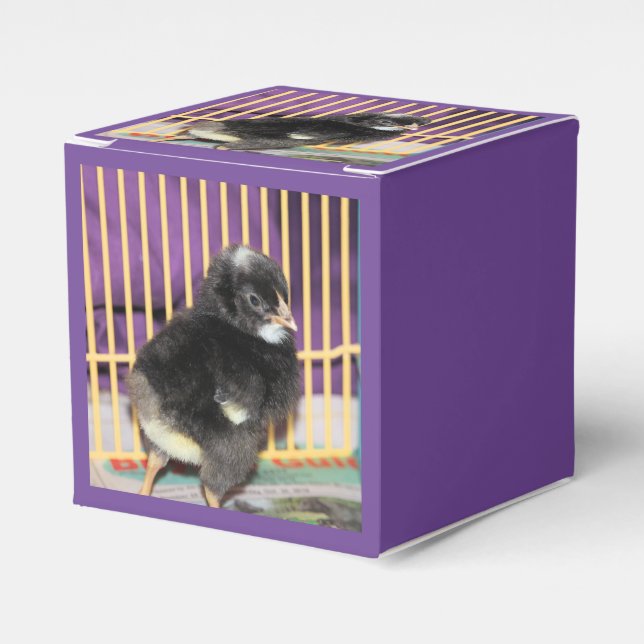 Peep Favour Box (Front Side)