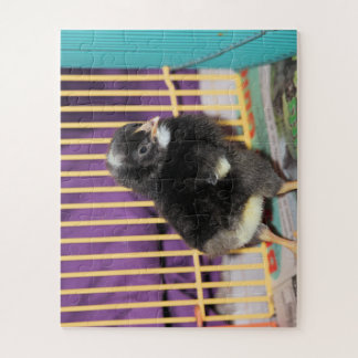 Peep Jigsaw Puzzle