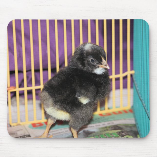 Peep Mouse Mat (Front)