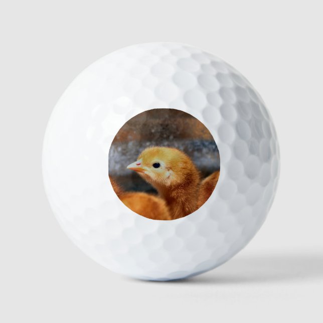 Peep peep golf balls (Front)