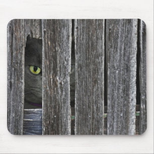 Peepin Tom Mouse Mat