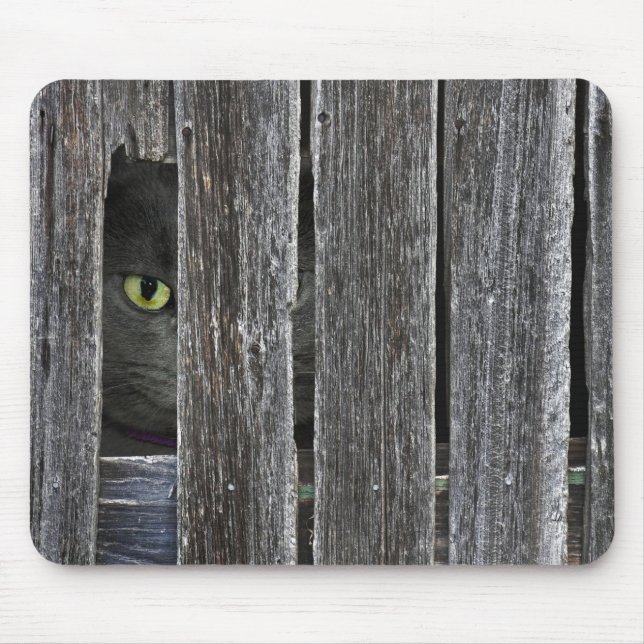 Peepin Tom Mouse Mat (Front)