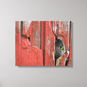 Peeping Tom Canvas Print