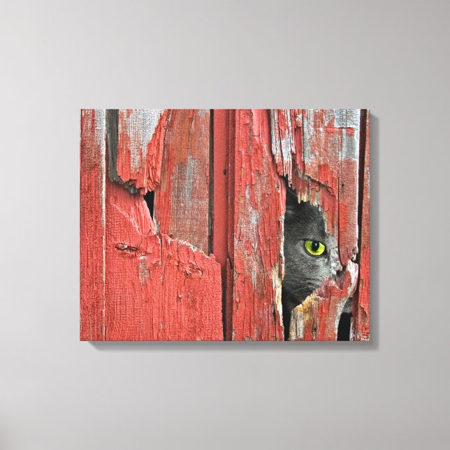 Peeping Tom Canvas Print (Front)