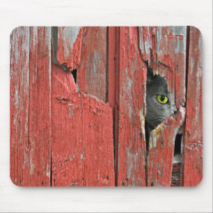Peeping Tom Cat Mouse Mat