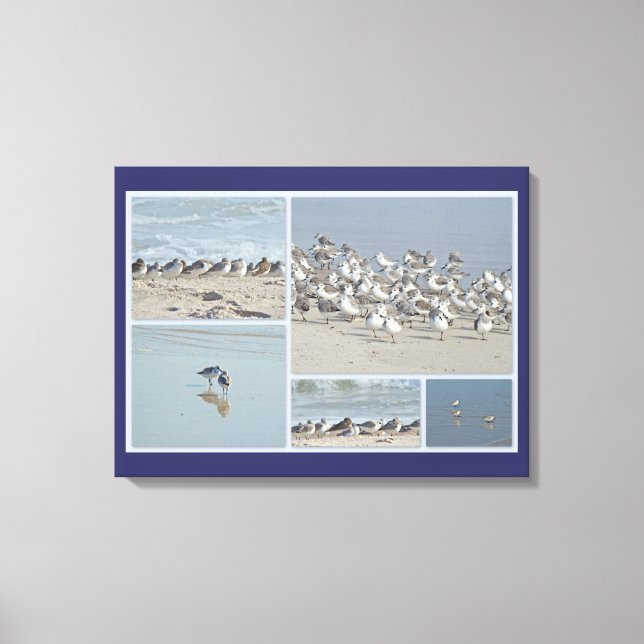 Peeps at the Shore Canvas Print (Front)