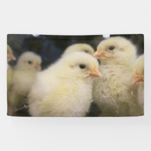 Peeps Banner