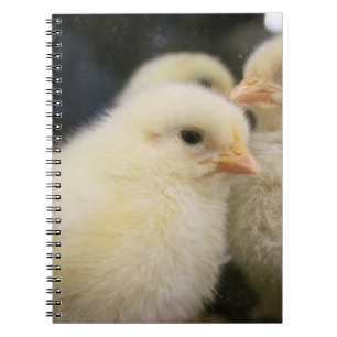 Peeps   notebook