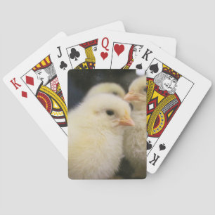 Peeps Playing Cards