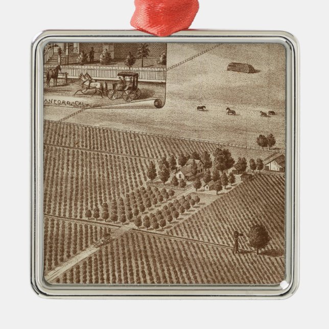 Peerless Vineyard, Hanford, Cal Metal Tree Decoration (Front)