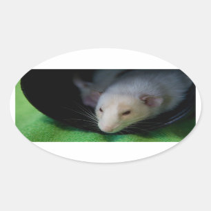 PEEWEE OVAL STICKER