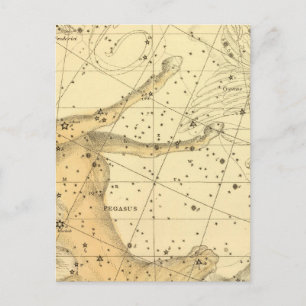 Pegasus and Equuleus Postcard