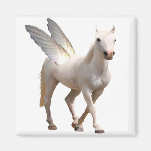 Pegasus Magnet