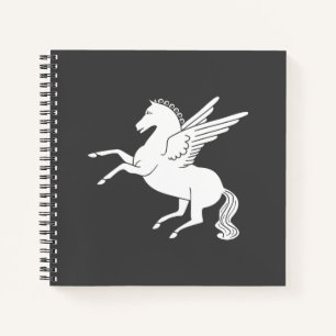 Pegasus Notebook