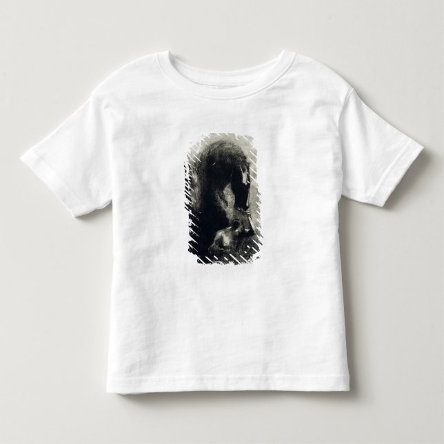 Pegasus Toddler T-Shirt (Front)