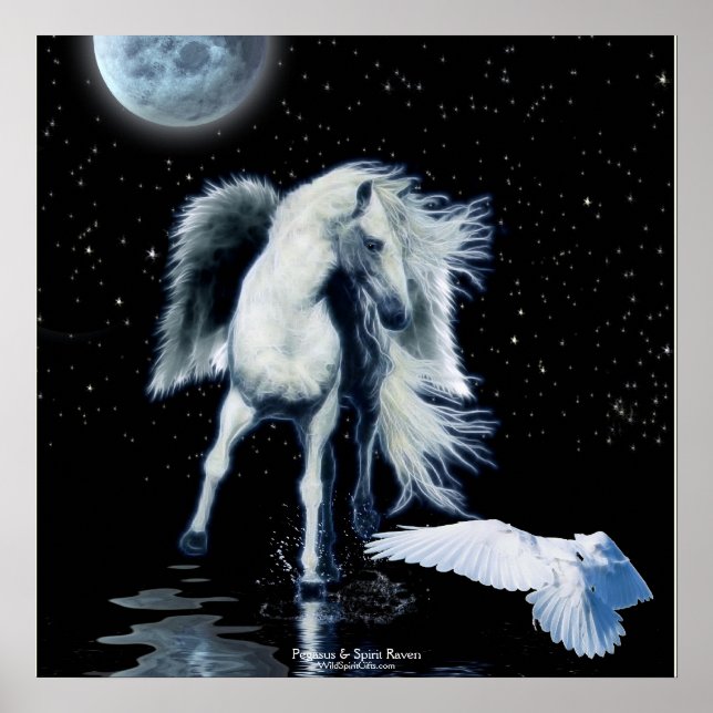 PEGASUS & WHITE RAVEN Fantasy Poster (Front)