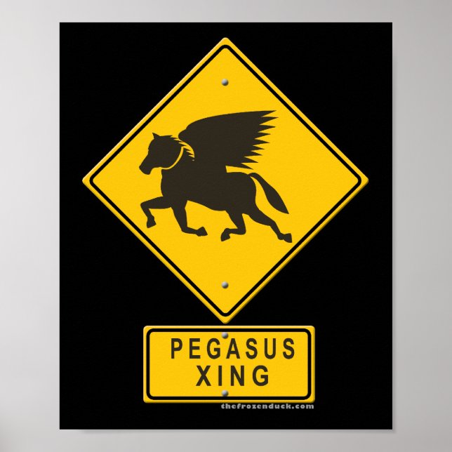 Pegasus XING Poster (Front)
