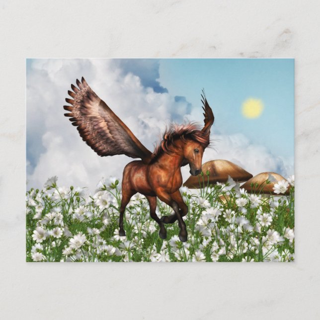 Pegasys in a Field Postcard (Front)