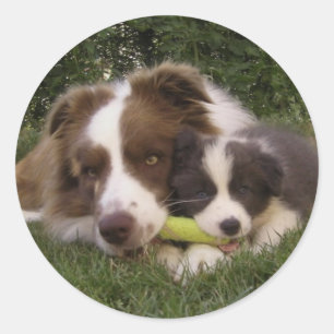 Pegatina Kun and Vir Classic Round Sticker