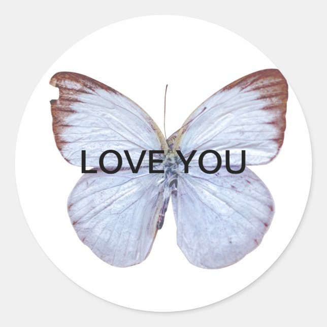 pegatina La mariposa, anuncia las flores y el amor Classic Round Sticker (Front)