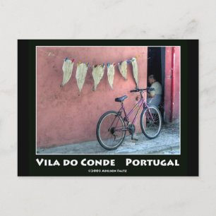 Peixe a secar postcard
