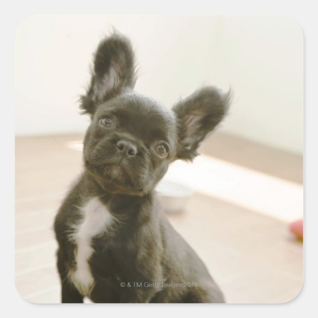 Peki-French Square Sticker (Front)