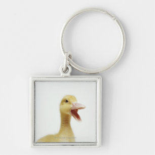 Pekin duck chick, head-shot key ring