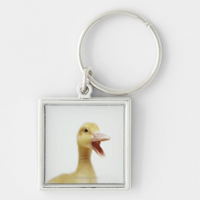 Pekin duck chick, head-shot key ring (Front)