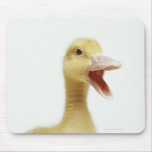 Pekin duck chick, head-shot mouse mat