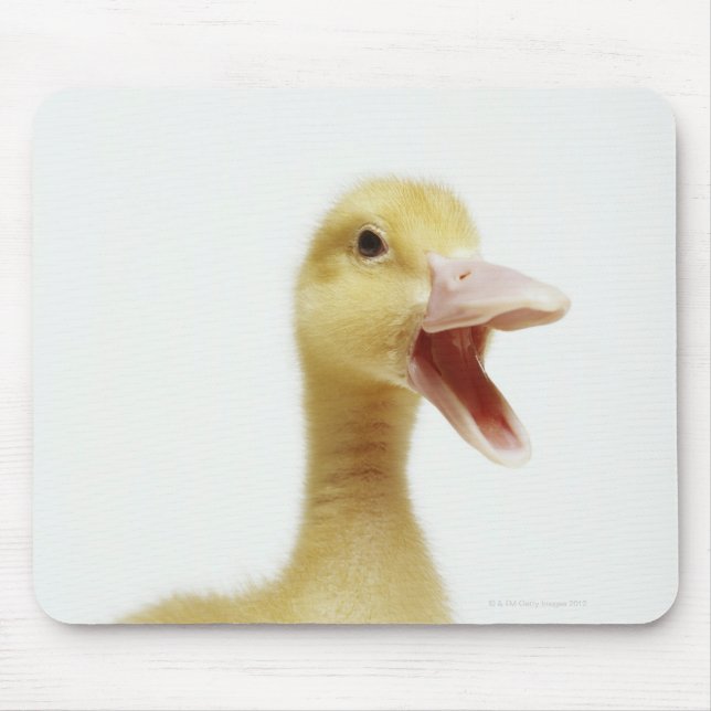 Pekin duck chick, head-shot mouse mat (Front)
