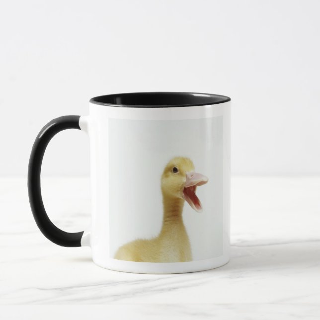 Pekin duck chick, head-shot mug (Left)