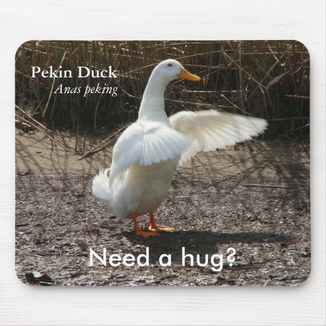 Pekin Duck (Need a Hug?) Mousepad (Front)