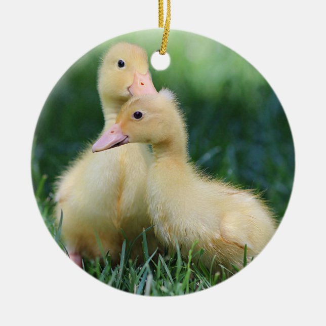Pekin Ducklings Ceramic Tree Decoration (Front)