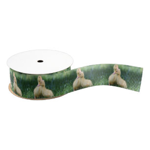 Pekin Ducklings Grosgrain Ribbon