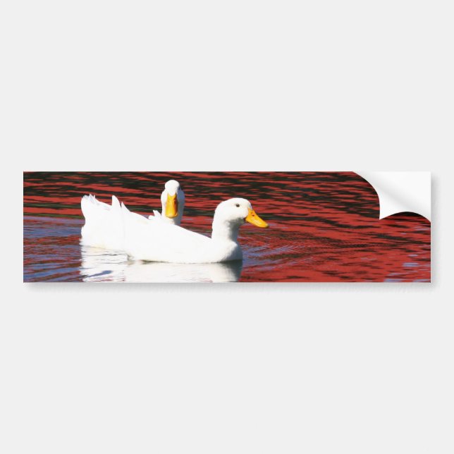 Pekin Ducks Bumper Sticker (Front)