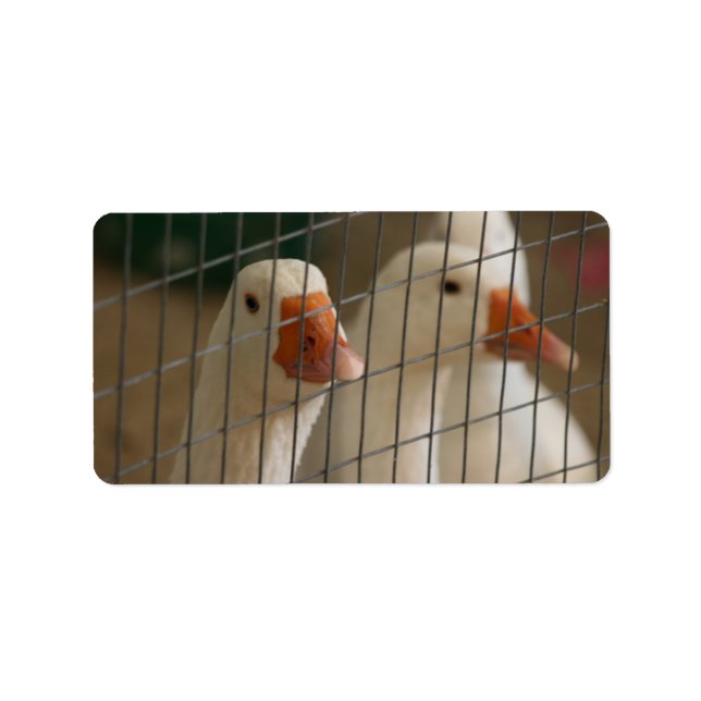 Pekin ducks in cage picture label (Front)