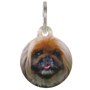Pekinese Dog. Pet Tag