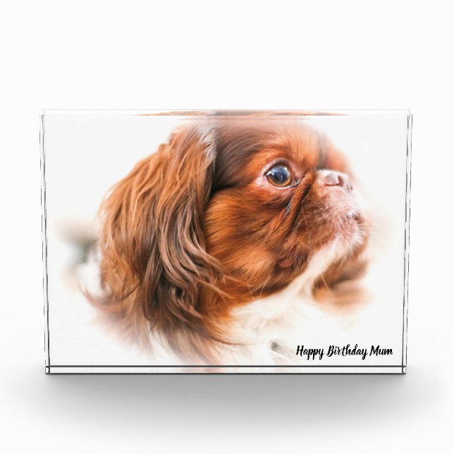 Pekinese Dog Photo Block (Front)
