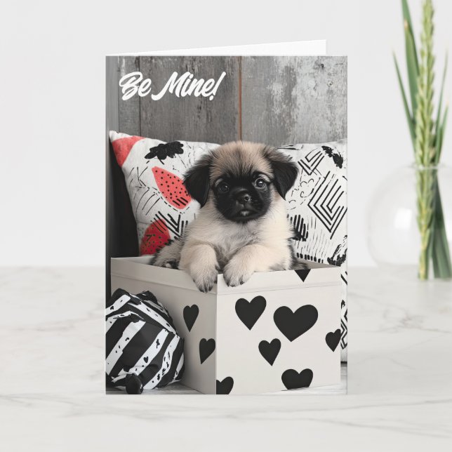 Pekinese Puppy Valentine Card (Front)
