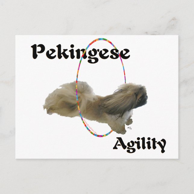 Pekingese Agility Postcard (Front)
