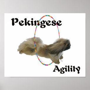 Pekingese Agility Poster