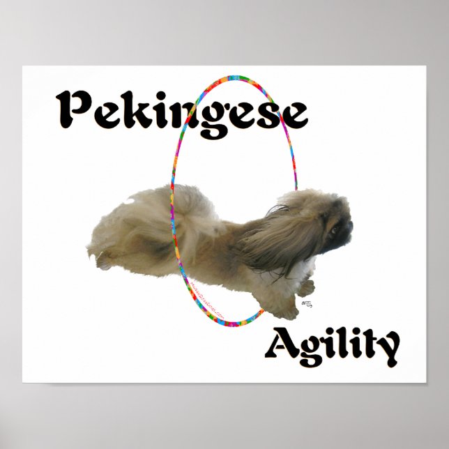 Pekingese Agility Poster (Front)
