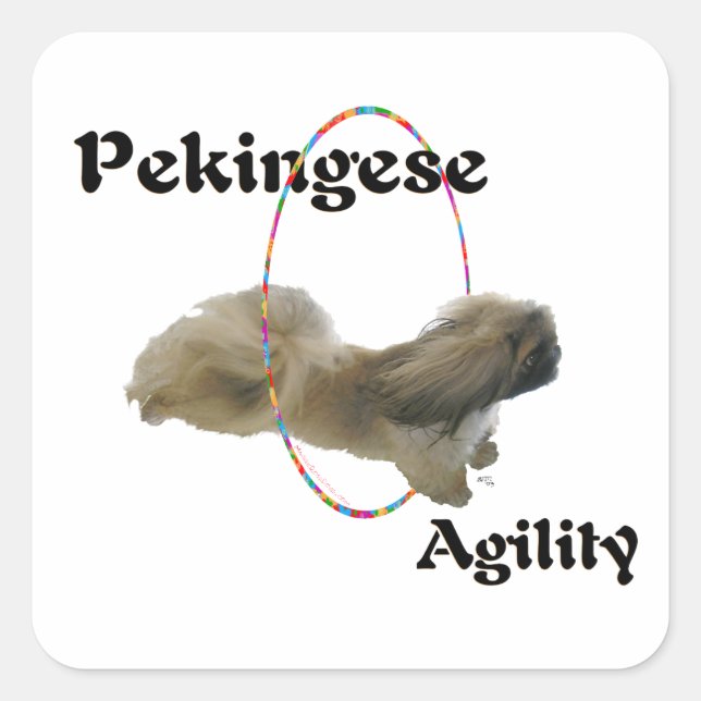 Pekingese Agility Square Sticker (Front)